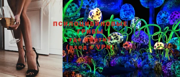 дмт Мегион