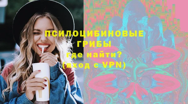 сатива Магадан
