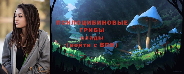 a pvp Медвежьегорск